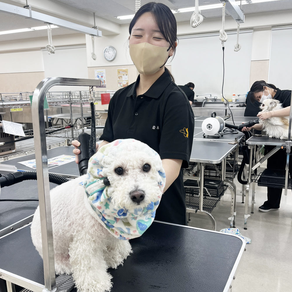 先生手作りヘアバンド！